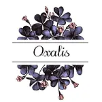 Oxalis Appartement Bologna