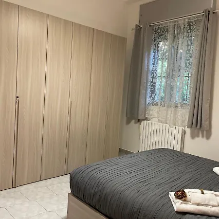 Oxalis * ボローニャ