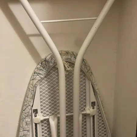 Oxalis ボローニャ