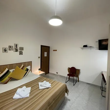 Oxalis ボローニャ