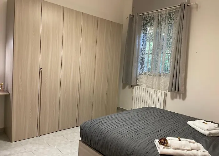 Oxalis * بولونيا