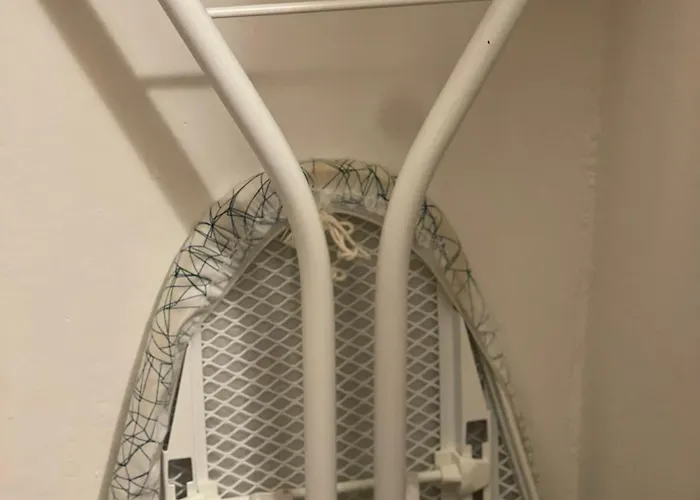 Oxalis בולוניה